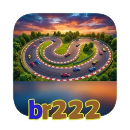 br222
